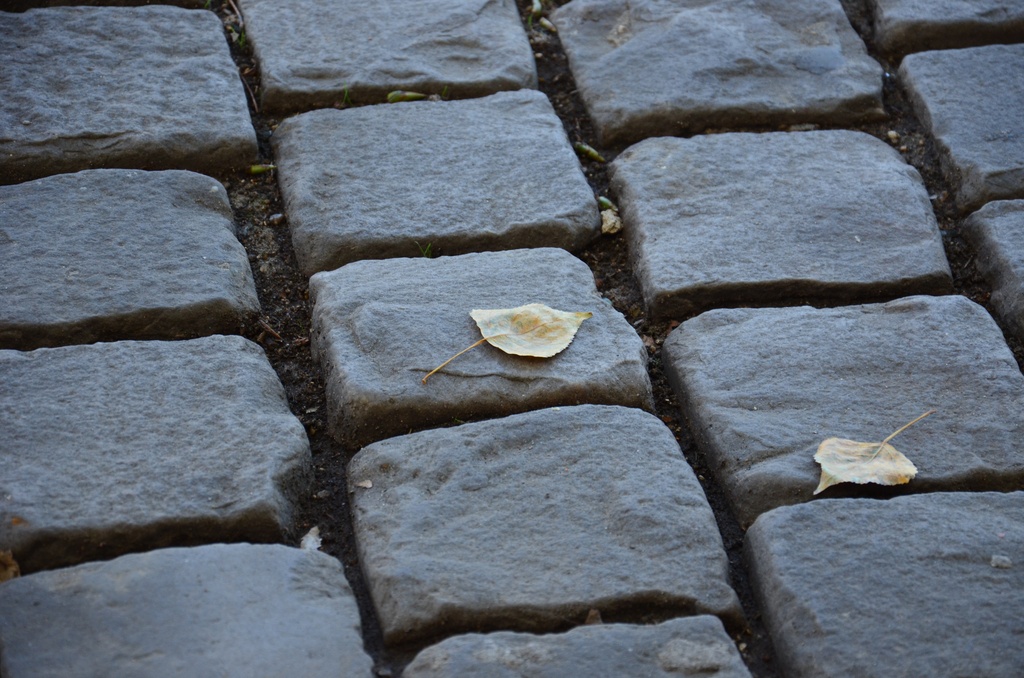 2015-08 Paris/DSC_0395.JPG